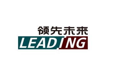 领先未来成都电子商务有限公司