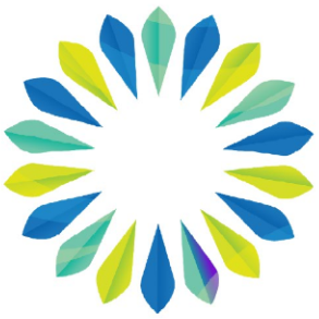 重庆智晟新能源有限公司