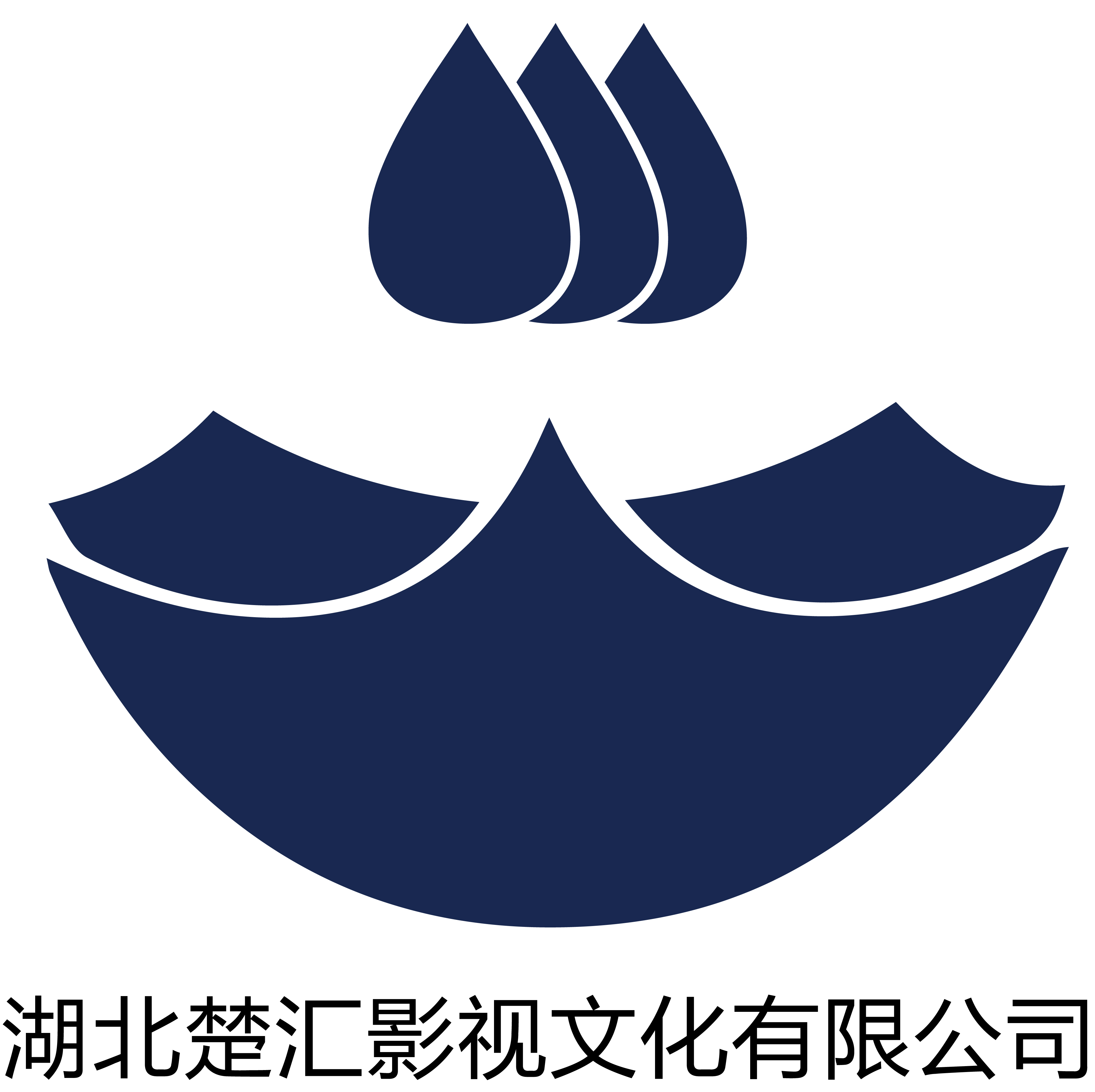 湖北楚汇影视文化有限公司