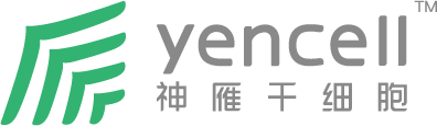 厦门神雁再生医学科技有限公司