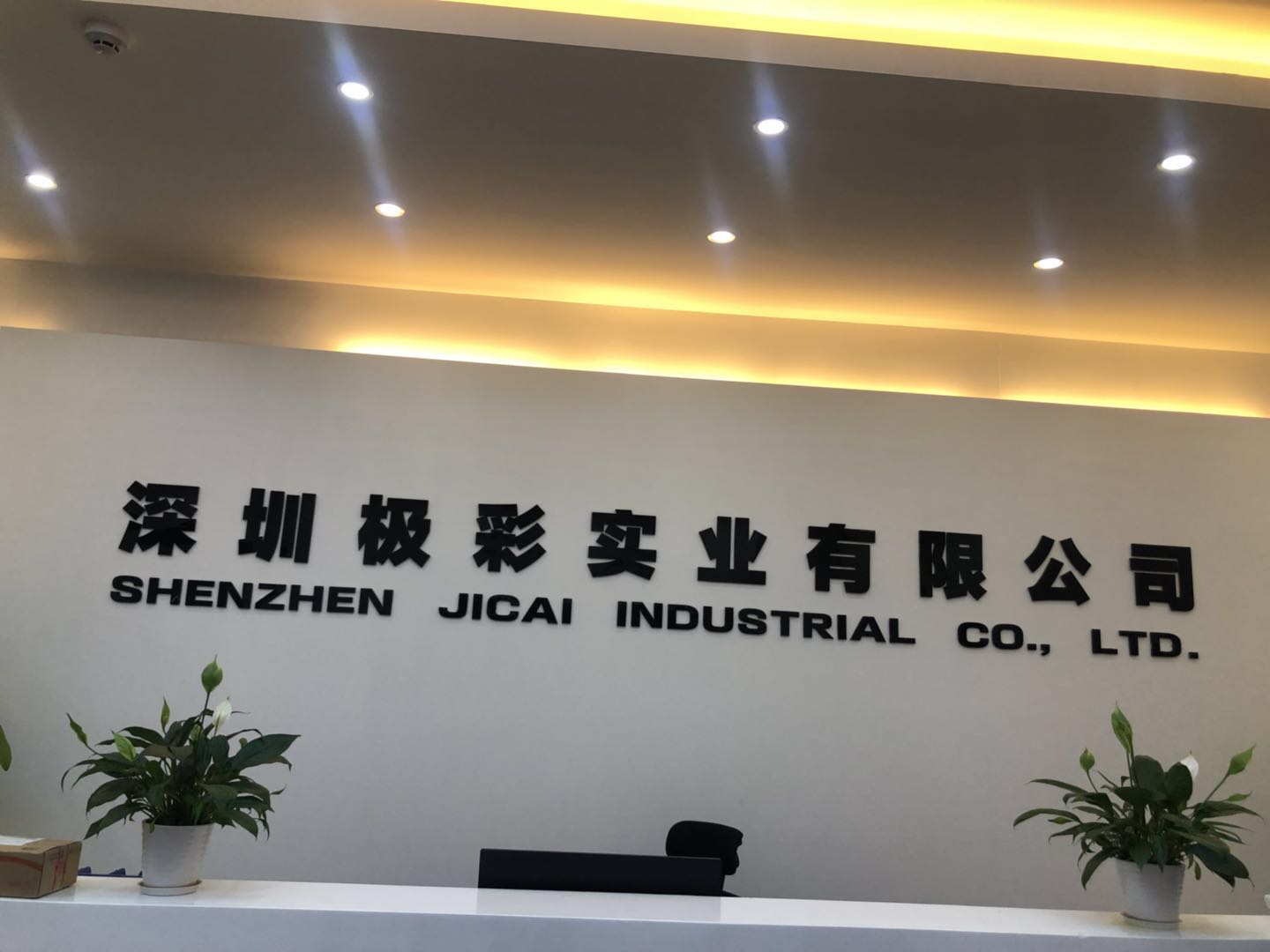 「深圳极彩实业有限公司招聘」-智联招聘