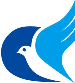 上海起优教育培训有限公司