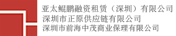 亚太鲲鹏融资租赁(深圳)有限公司