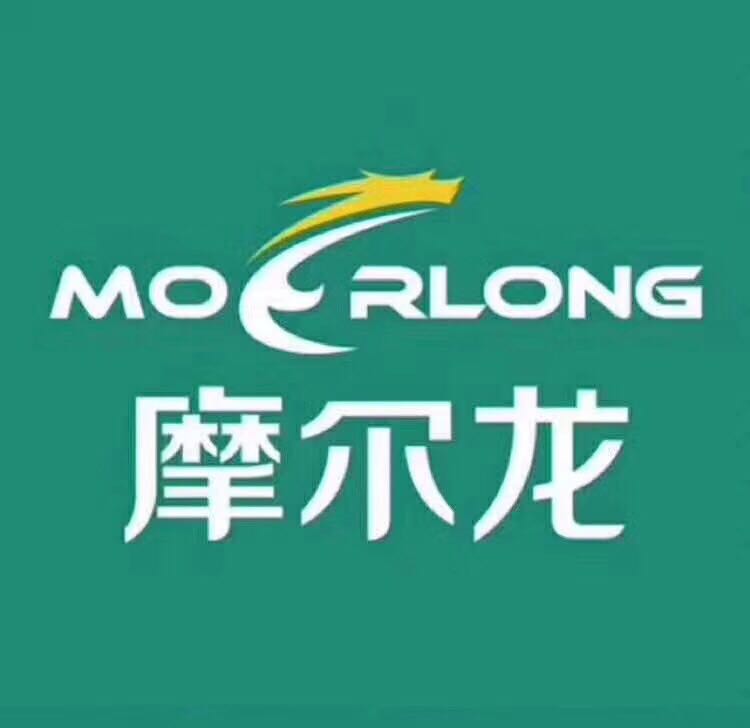 深圳摩尔龙信息服务有限公司