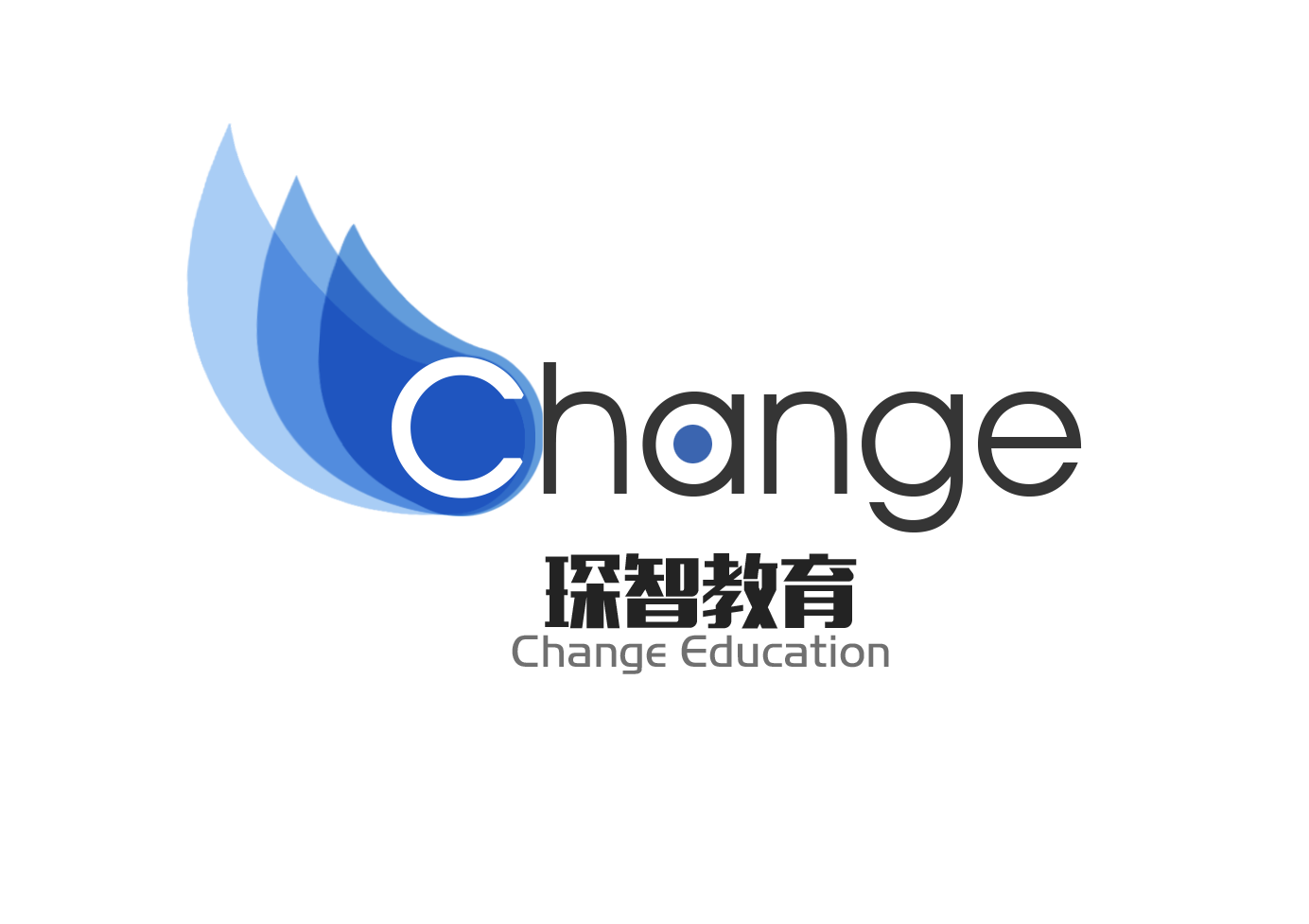 上海琛智教育科技有限公司