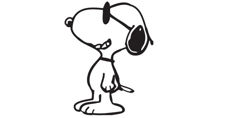 四川款款飞网络科技有限公司