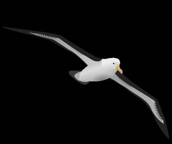 深圳市信天翁天下科技有限公司