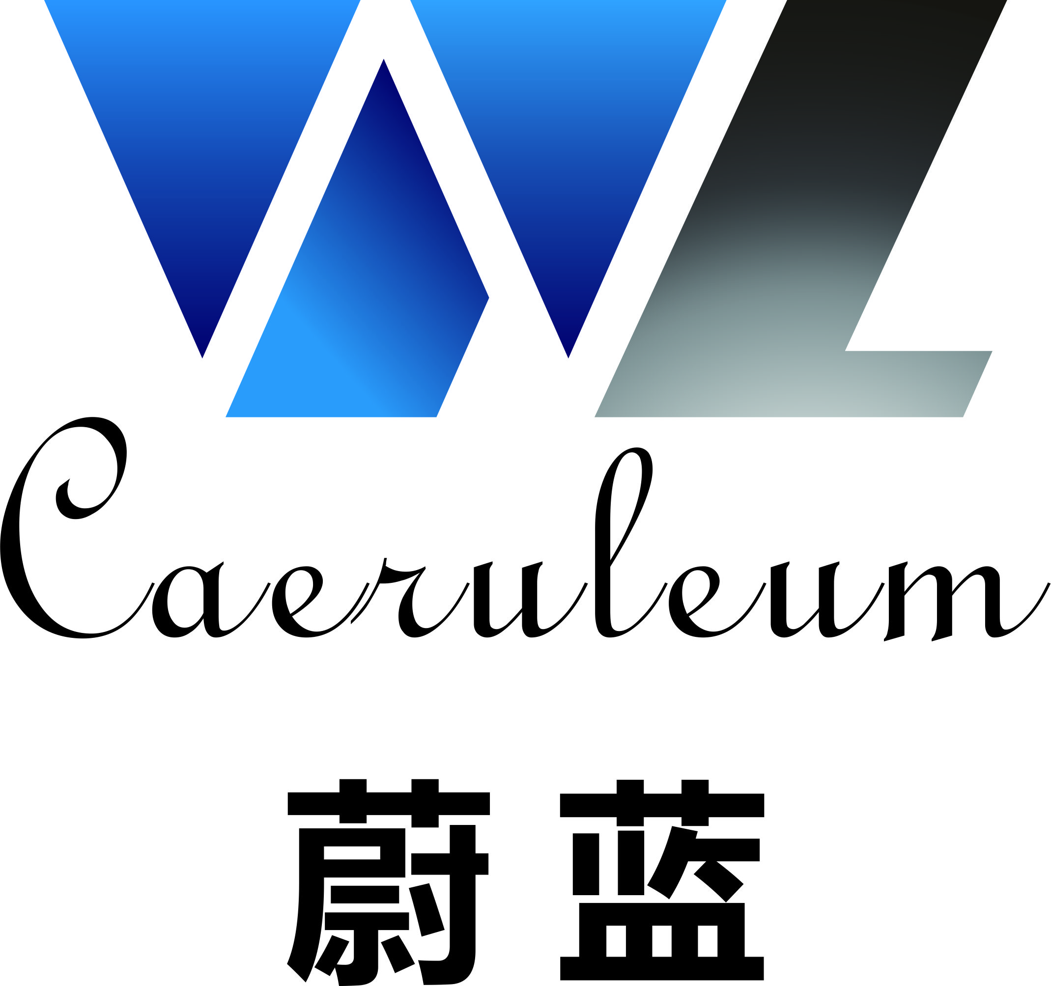 蔚蓝(广东)新能源科技有限公司蔚蓝(广东)新能源科技有限公司系东莞
