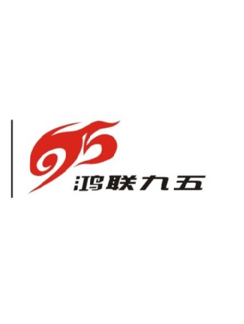 德州鸿联九五信息科技有限公司