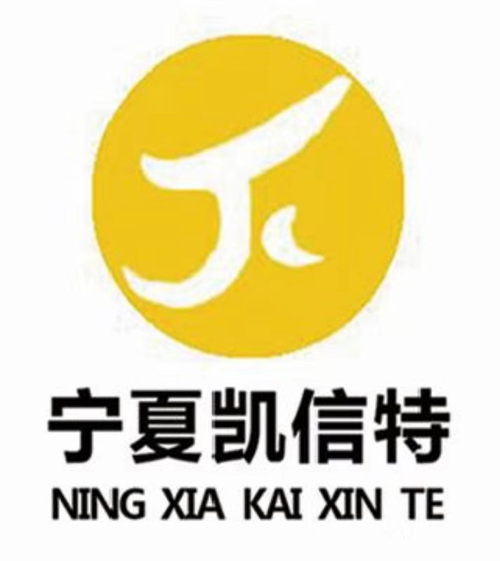 宁夏凯信特信息科技有限公司