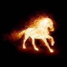 河南伊瑞达实业有限公司