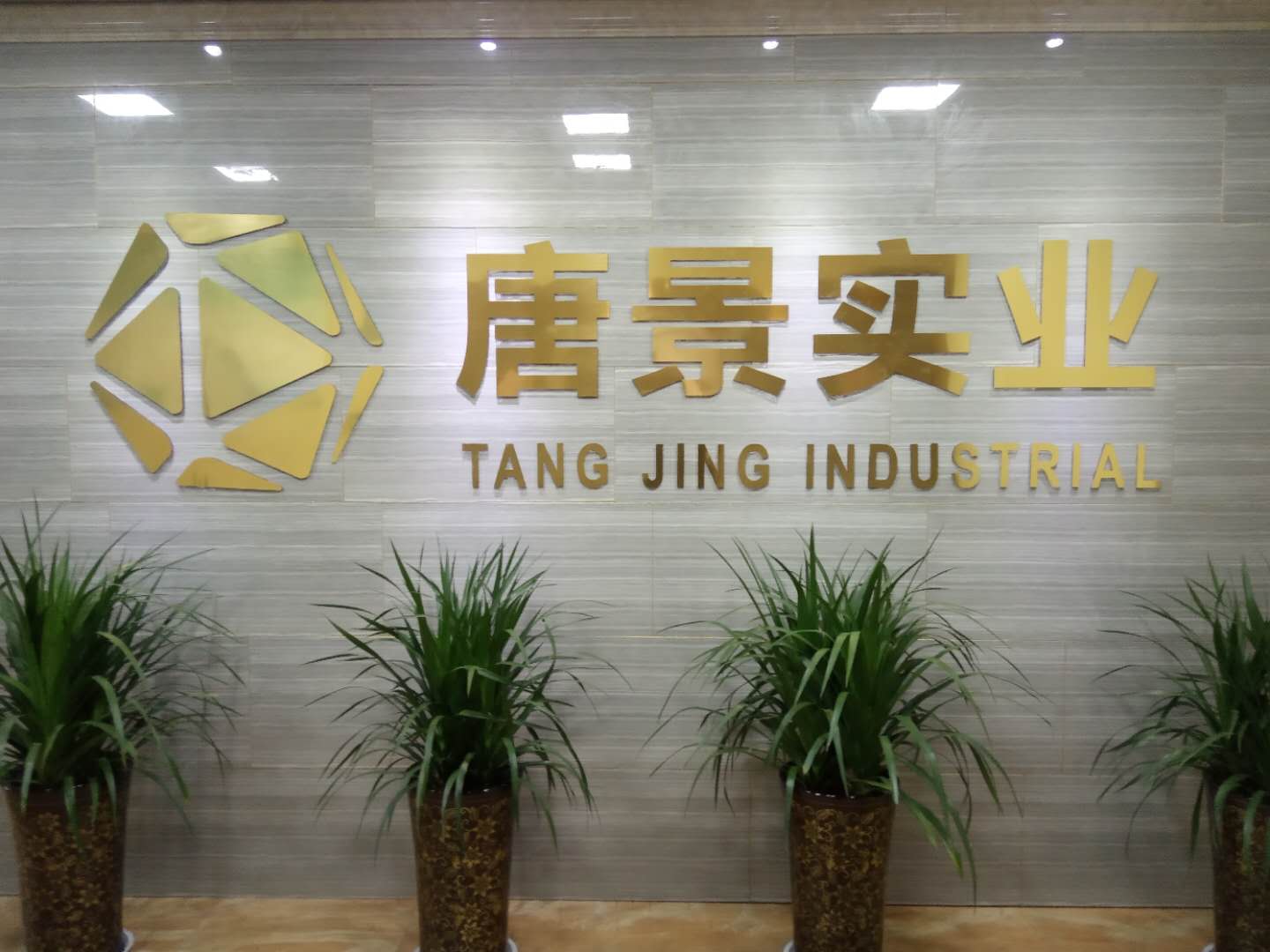 洛阳唐景实业有限公司