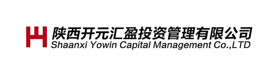 陕西开元汇盈投资管理有限公司