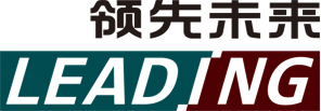 陕西领先未来电子科技有限公司
