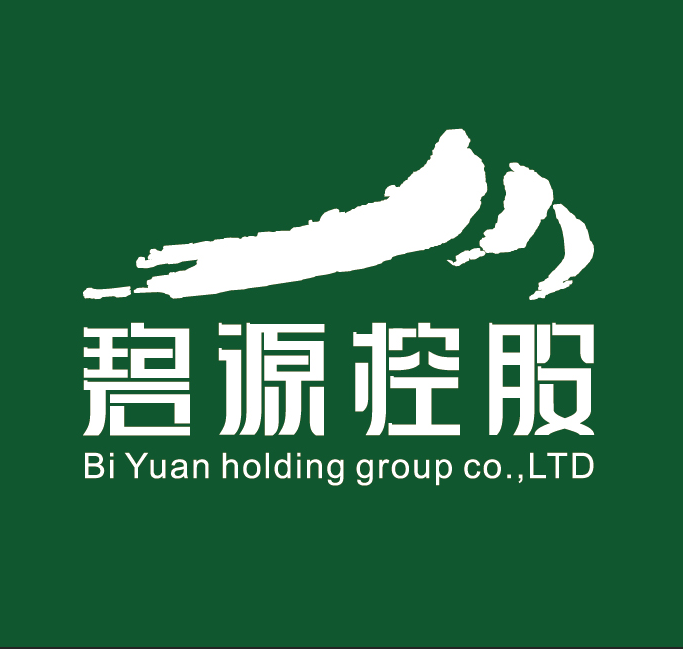 山西碧源置业有限公司