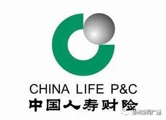 中国人寿财产保险股份有限公司芜湖市中心支公司