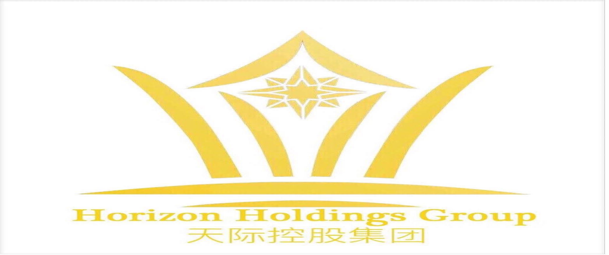 飞燕(天津)进出口有限公司