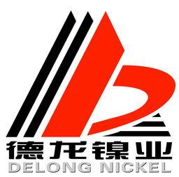 江苏德龙镍业有限公司