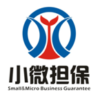 重庆市小微企业融资担保有限公司