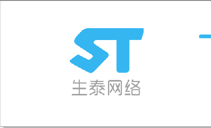 广州生泰网络科技有限公司