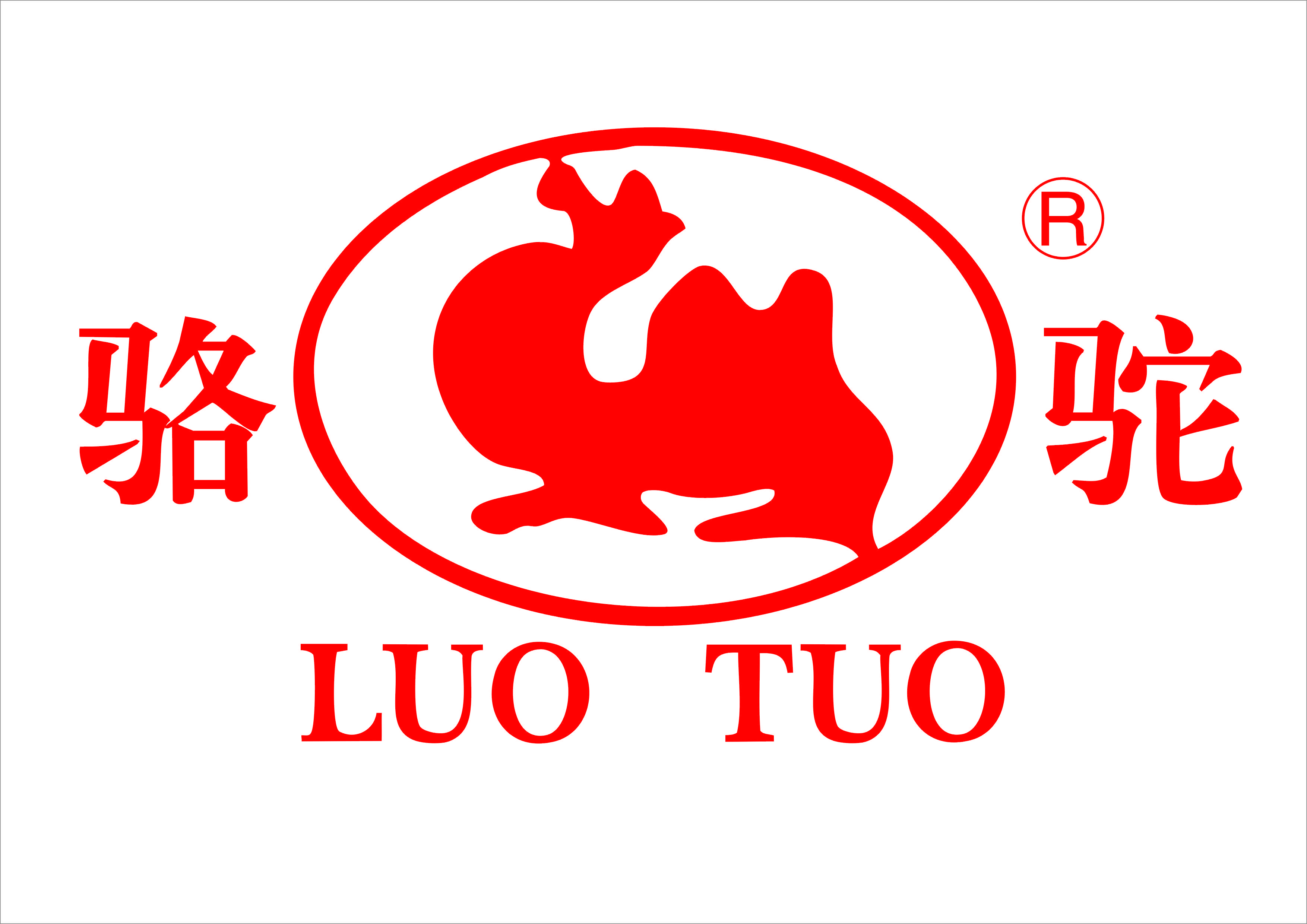 安徽湘大骆驼饲料有限公司