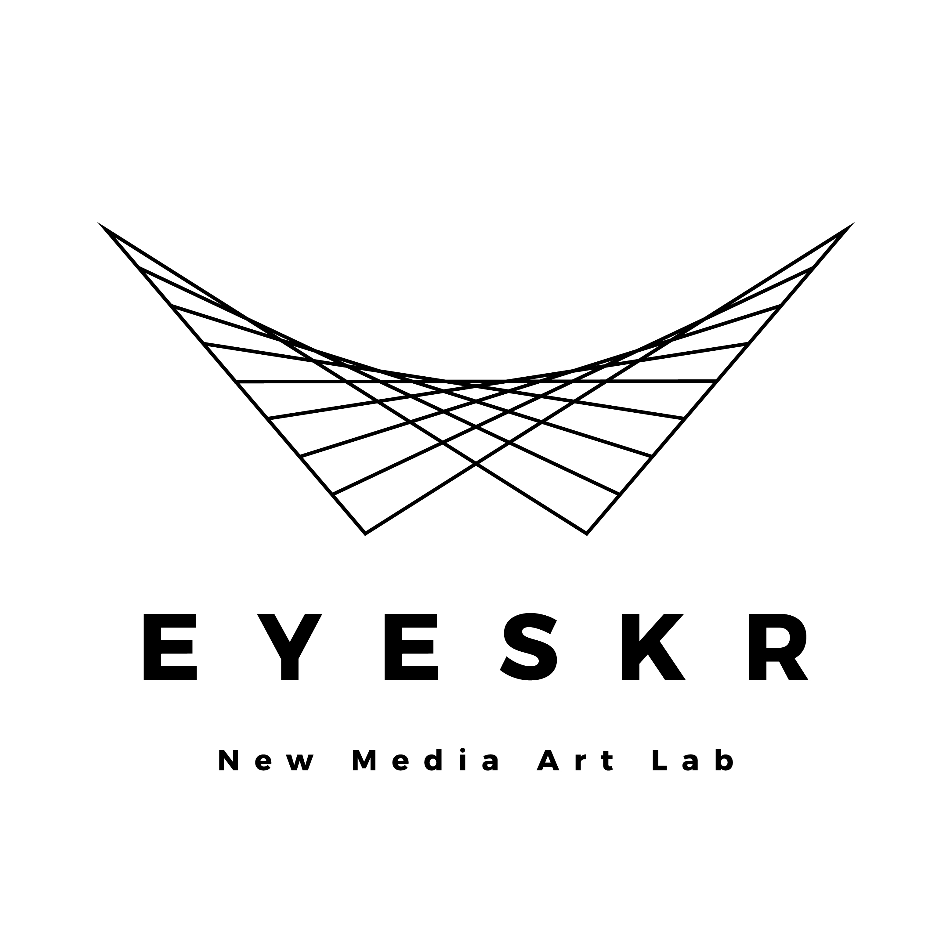 深圳市丽为科技有限公司