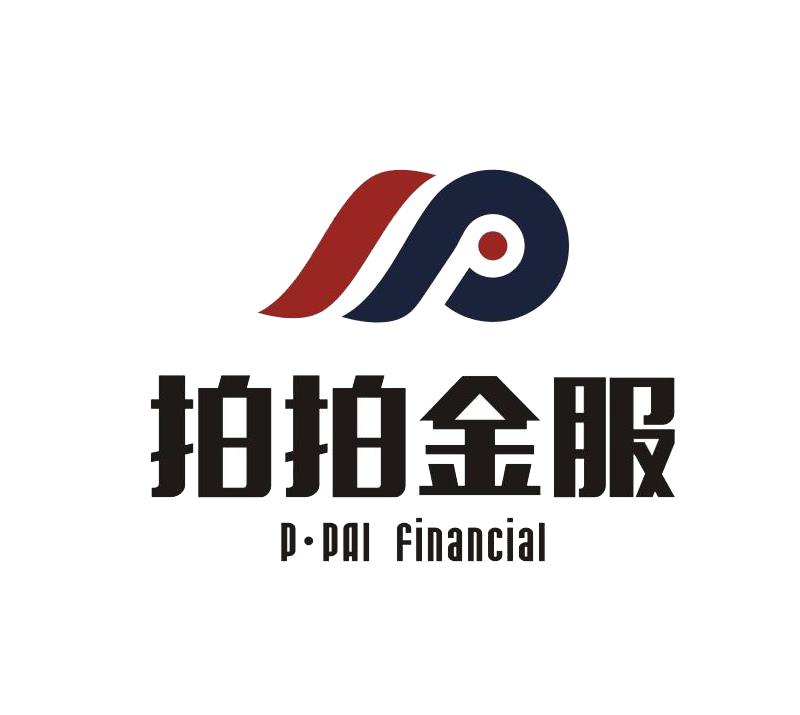 河南拍拍金服网络科技有限公司