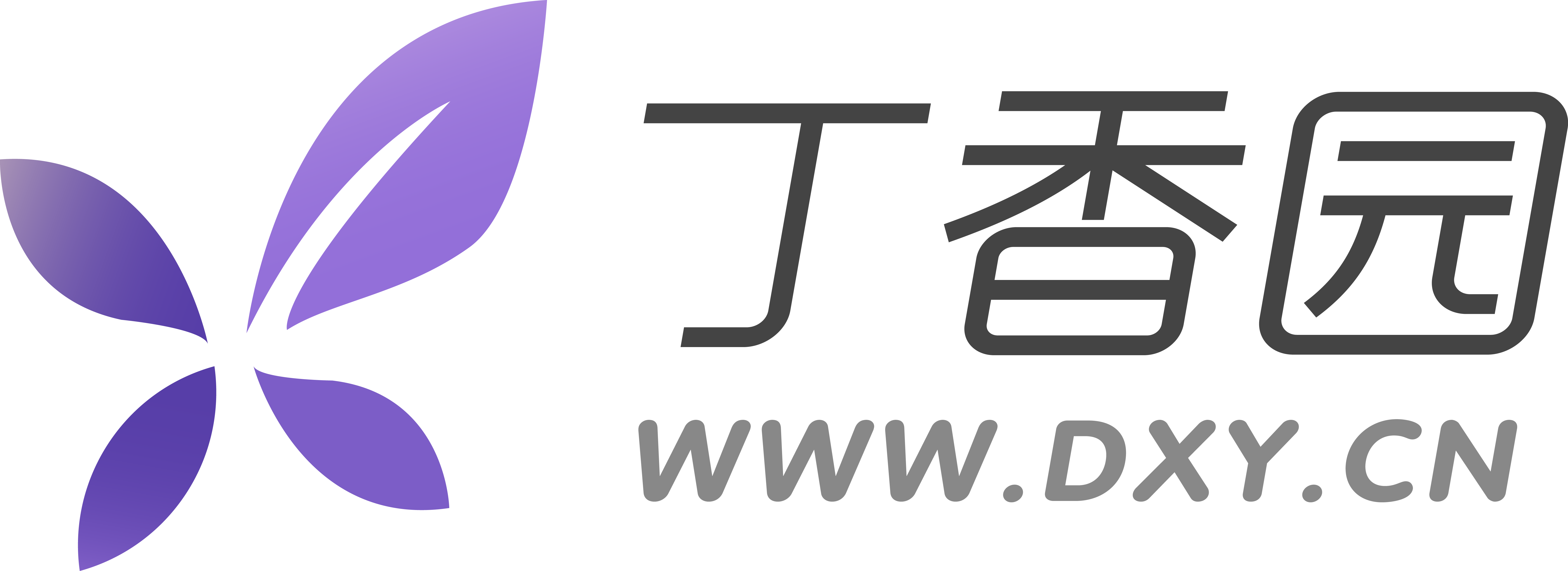 观澜网络(杭州)有限公司－丁香园