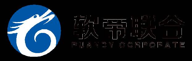 武汉软帝联合科技有限公司