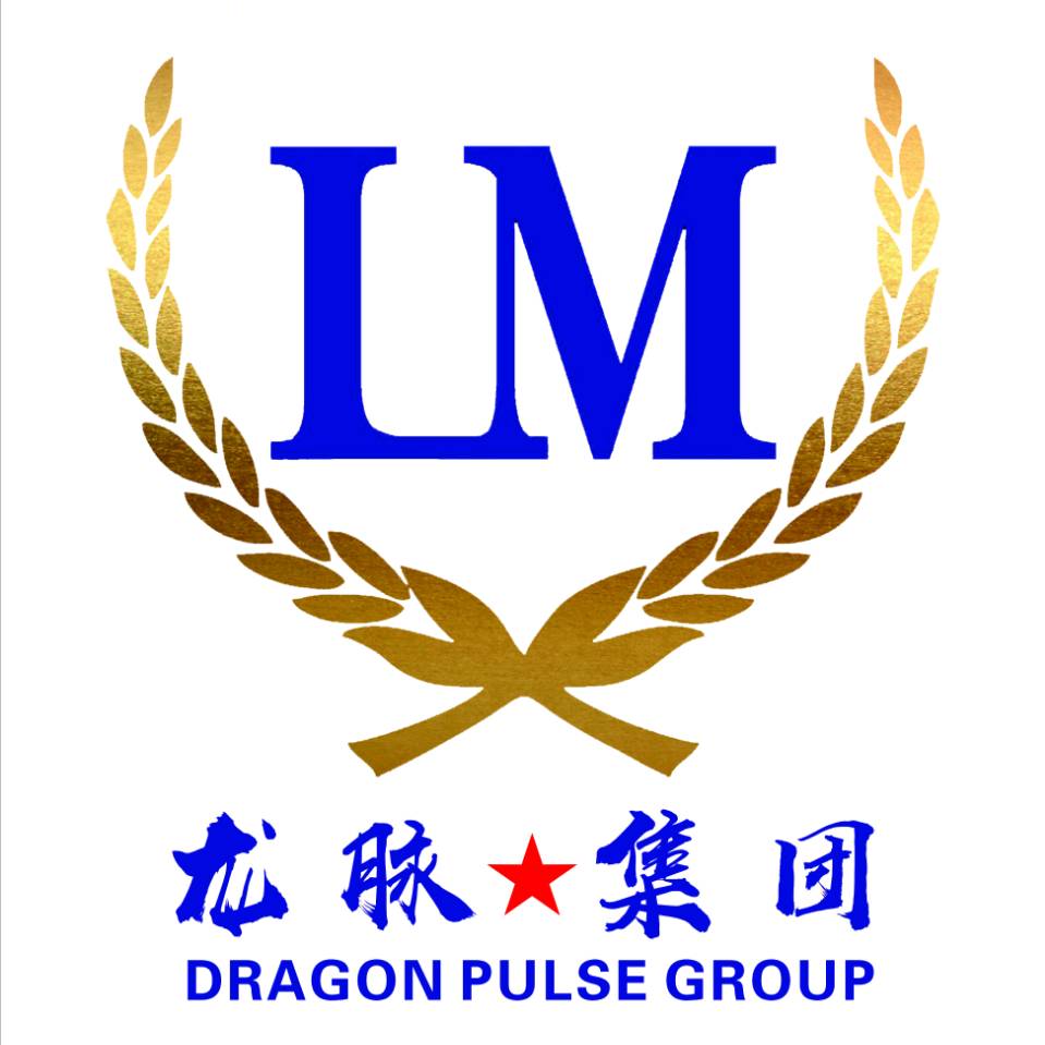 深圳市龙脉人力资源管理有限公司