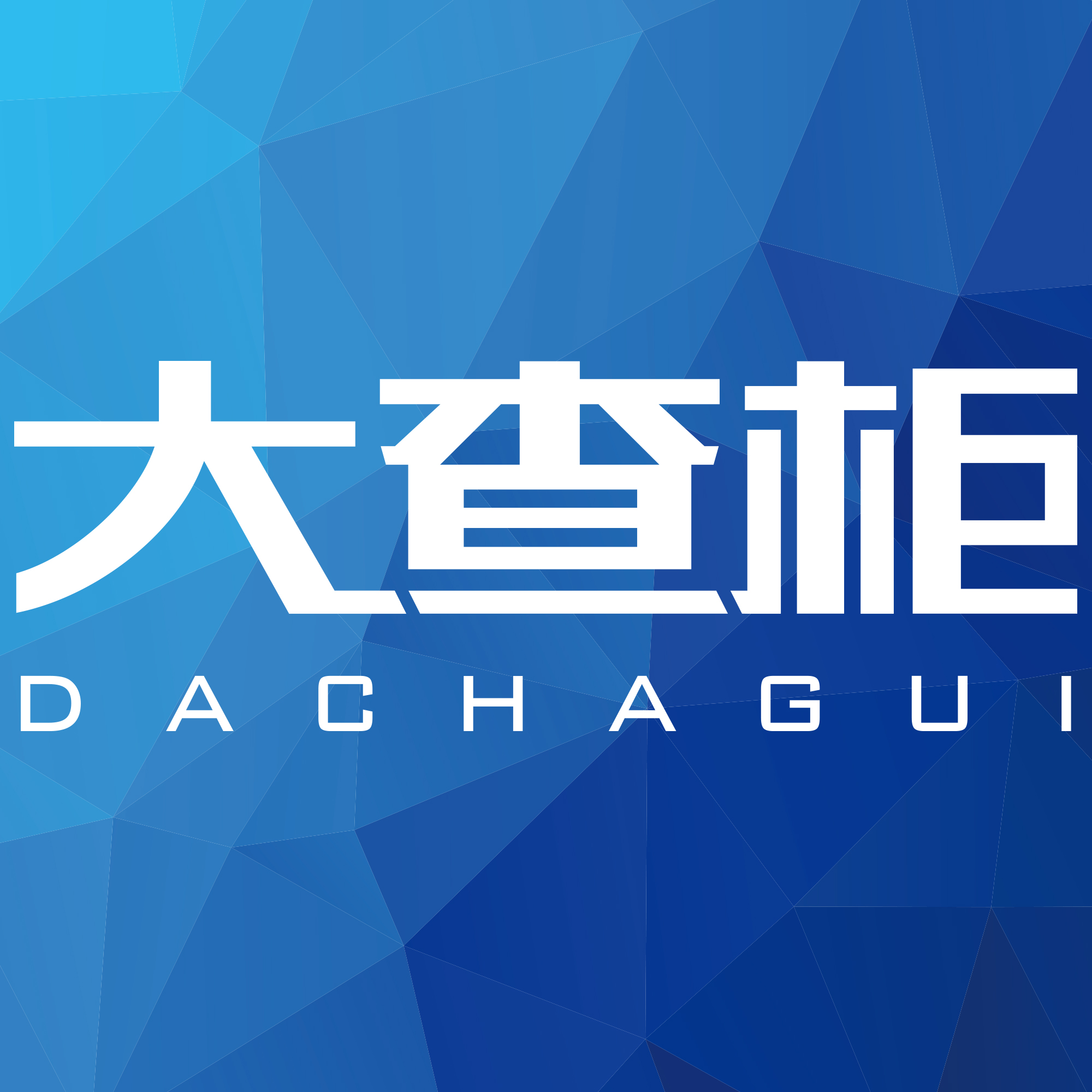 =D=大查柜(上海)网络科技有限公司