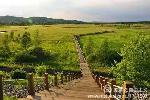 吉林省森有农林科技发展有限公司