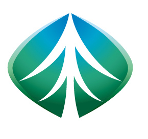 石家庄图腾印象数字科技有限公司