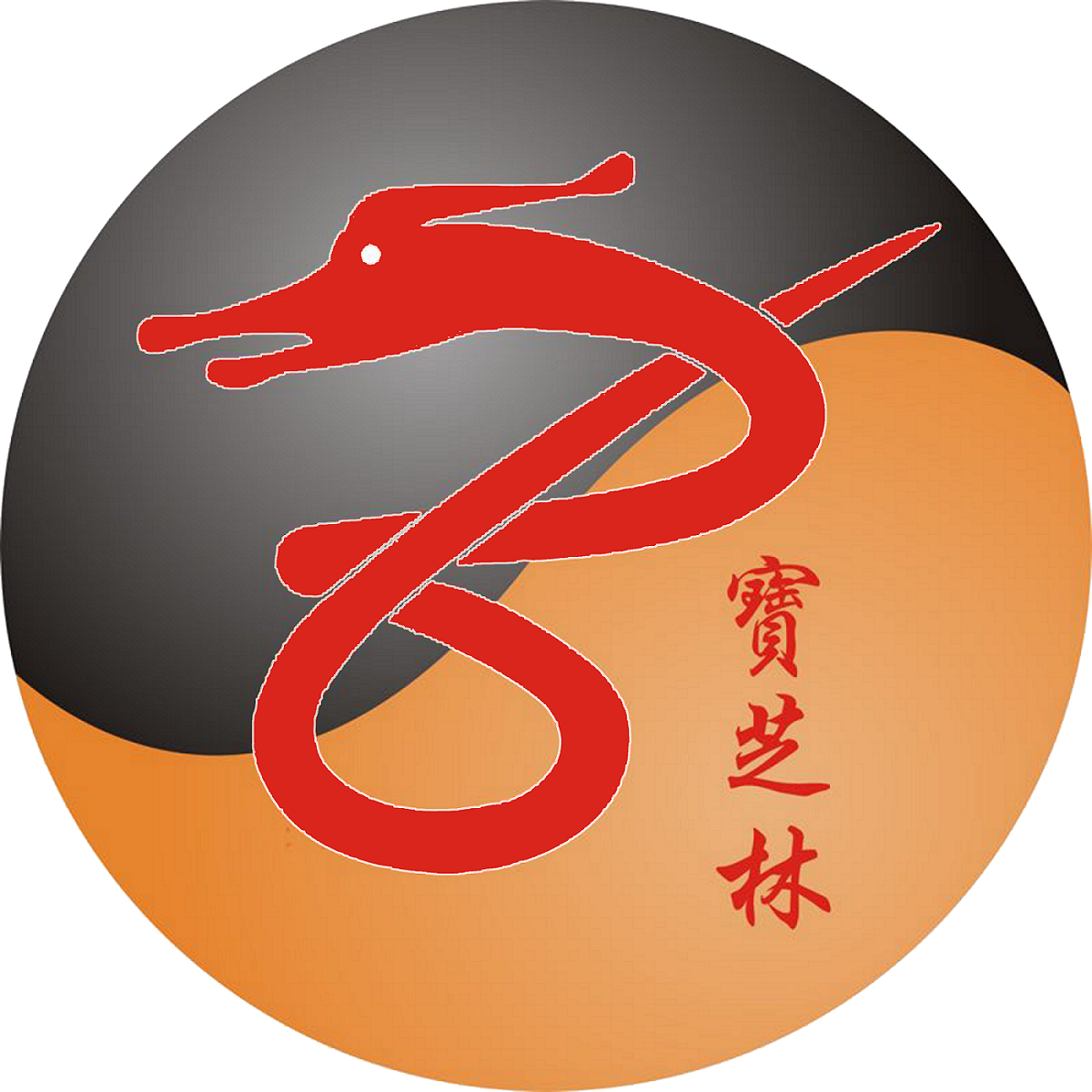 宝芝林深圳企业发展集团有限公司