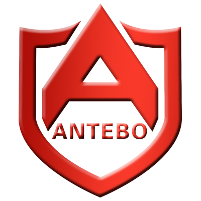 深圳市安特保电子商务集团有限公司