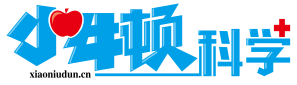 郑州小牛顿教育科技有限公司