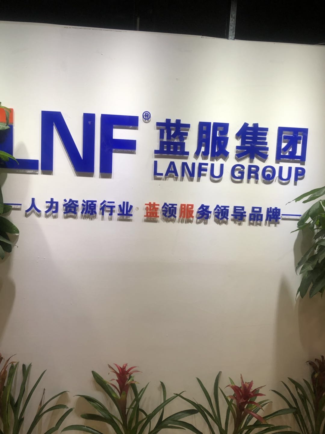 蓝服企业发展(上海)有限公司