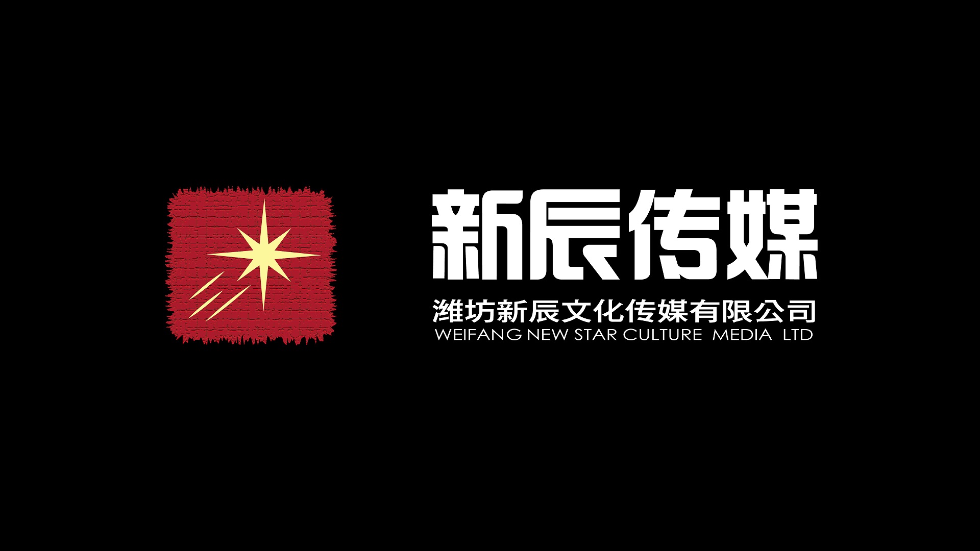潍坊新辰文化传媒有限公司