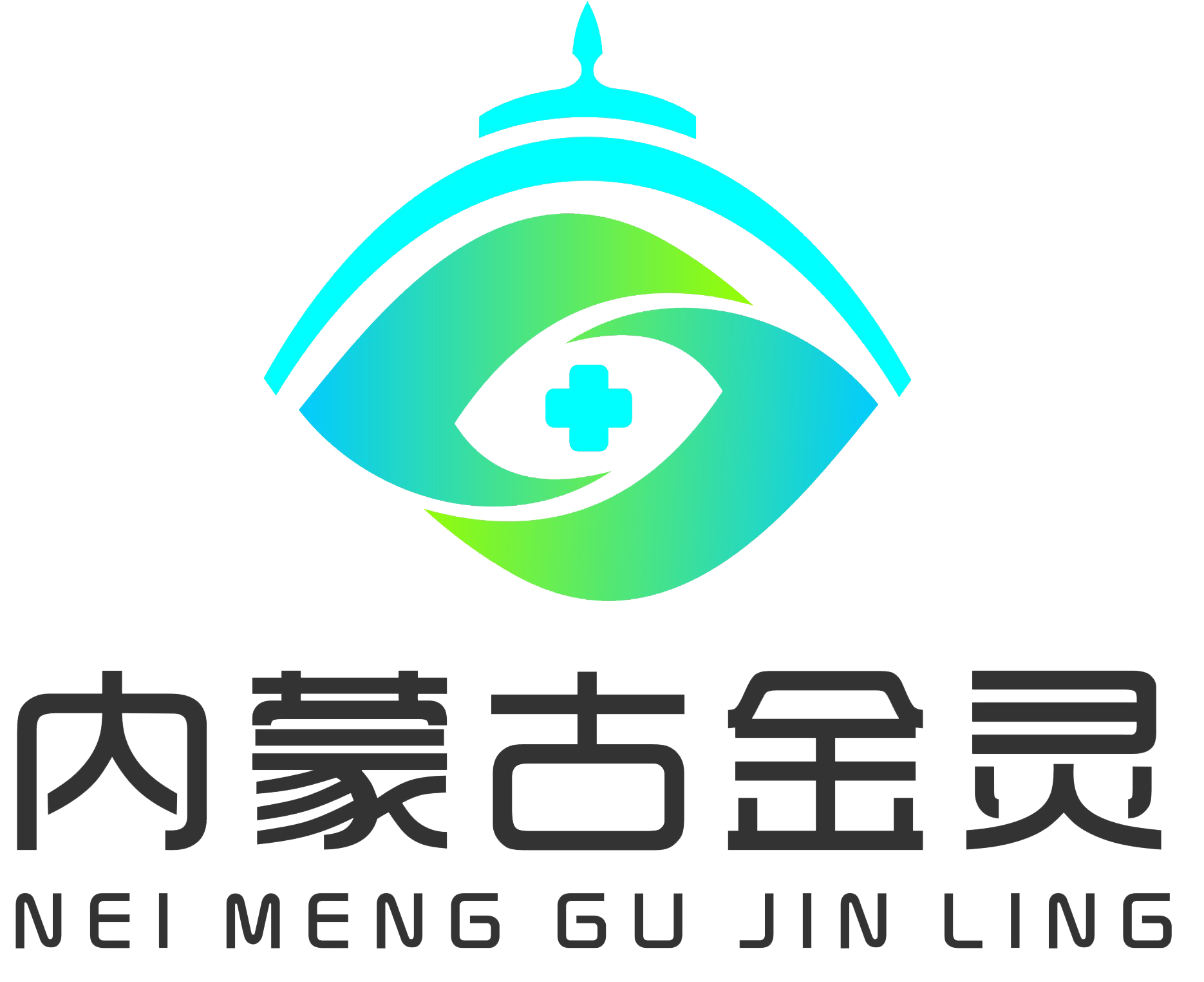 内蒙古金灵医药有限公司