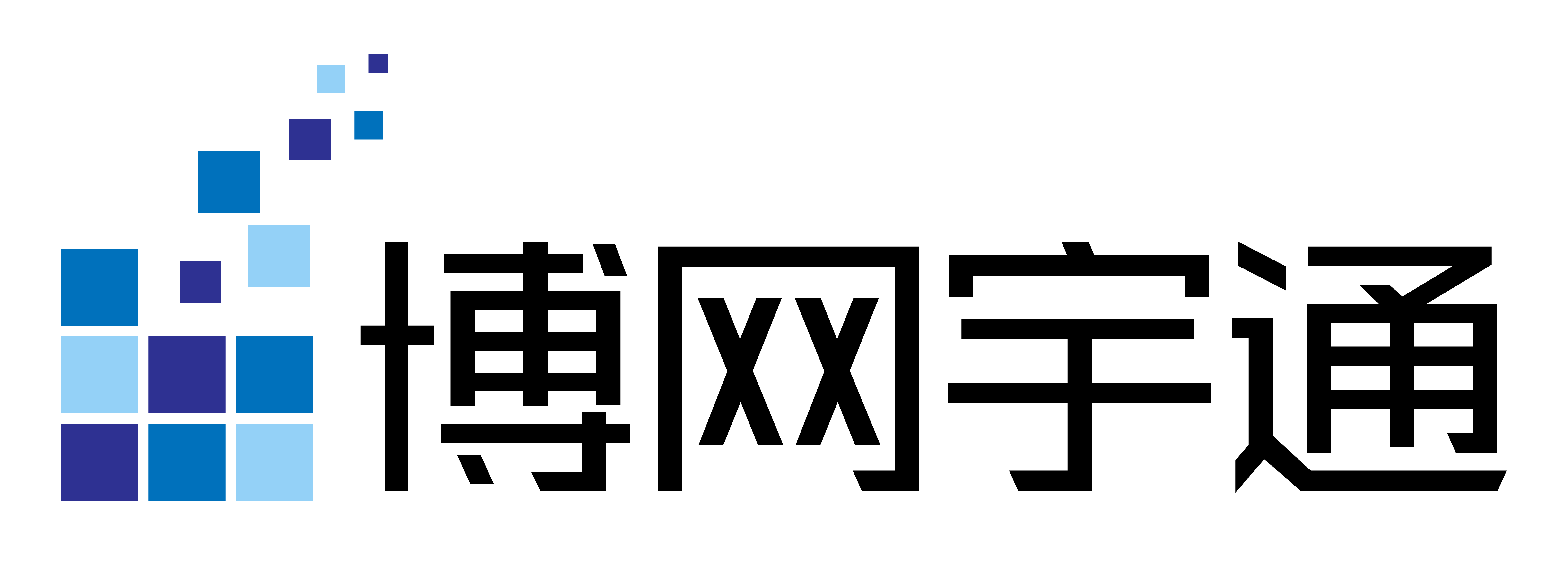 北京博网宇通信息技术有限公司