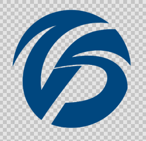 安徽洛萨商贸有限公司