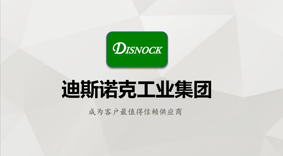 迪斯诺克(厦门)集团有限公司