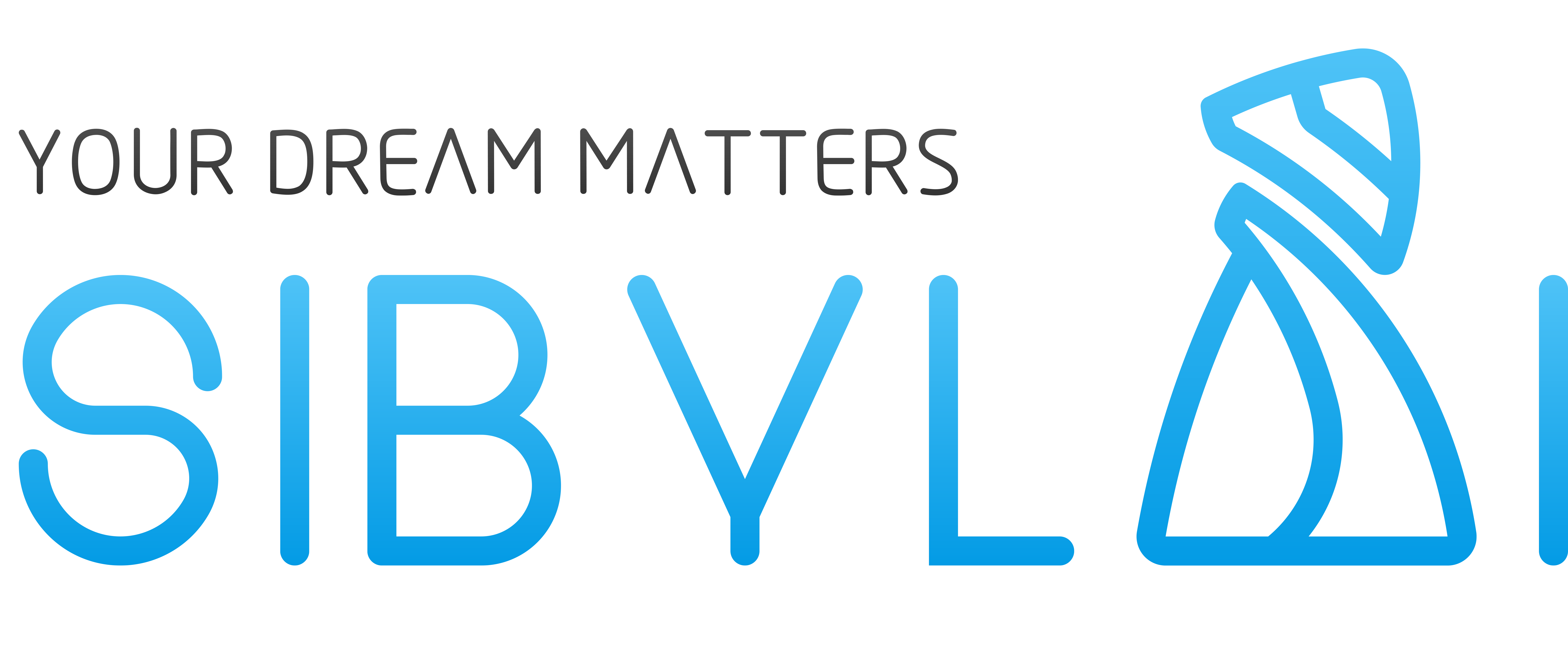 什伯(上海)智能技术有限公司