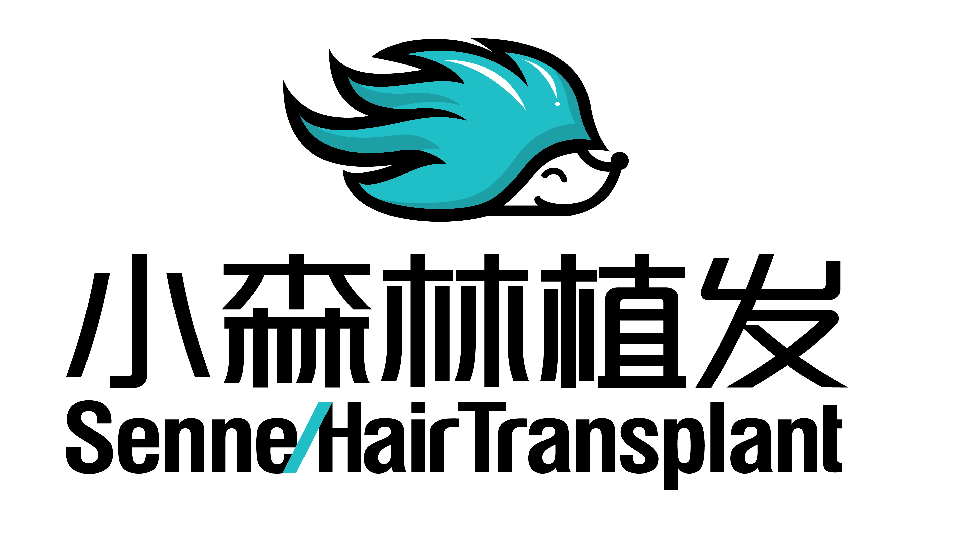 北京小森林东方科技有限公司